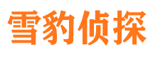 浦城找人公司